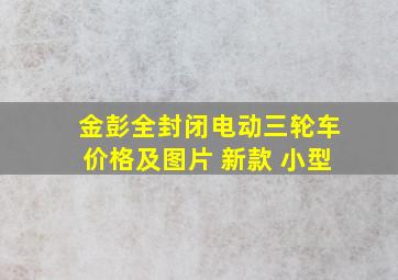 金彭全封闭电动三轮车价格及图片 新款 小型